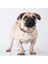 009RO Stili L Beden Bling Kristal Köpek Yaka Deri Köpekler Küçük Köpekler Için Kedi Yaka Tasmaları Yavru Kedi Kolye Chihuahua Yorkshire Pug Beagle (Yurt Dışından) 5