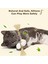 Kediler Için 4'lü Silvervine Çubukları, Kedi Çiğneme Oyuncağı, Diş Temizleme Için Kedi Çiğneme Çubukları, Ev Kedileri Için Kitty Oyuncakları (Yurt Dışından) 2