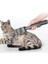 Dyson V8 V7 V10 V11 Köpek Fırçası Kablosuz Için Yeni Köpek Evcil Hayvan Fırçası (Yurt Dışından) 2