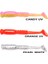 Rock Tail 4cm Kokulu Silikon Yem (12 Adet) 8