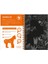 Animals Scratch Discover And Learn 2