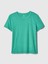 Kadın Yeşil %100 Pamuk Vintage Bisiklet Yaka T-Shirt 3