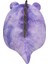 Timsah Dove 30 cm SQCR04147 4