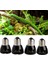 75W Tarzı Pet Isıtma Ampul E27 25W 50W 75W 100W Mini Kızılötesi Seramik Verici Isı Lamba Ampulü Siyah Sürüngen Pet Brooder Ekipmanları (Yurt Dışından) 2