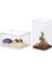 Yatay Stil Akrilik Teraryum Sürüngen Böcek Tarantula Muhafaza Tankı Salyangoz Örümcek Habitat Omurgasızlar Yetiştiriciliği Besleme Kutusu, 4 "x3.2" X2.4" (Yurt Dışından) 2
