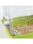 Yeşil Tarzı S Beden Hamster Su Şişesi No-Drip 2.7oz.2oz Tavşan Tavşan Küçük Hayvanlar Için Kafes Sızdırmazlığı Için Plastik Su Sebili (Yurt Dışından) 2