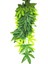 Siyah Stil Adet Sürüngen Bitkiler 30 cm Sahte Yapraklar Habitat Dekorasyon Teraryum Rattan Geckos Kertenkele Sürüngen Habitat Dekor (Yurt Dışından) 1