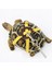 Mavi Stil Tortoiseturtle Pet Yürüyüş Kontrol Halat Göğüs Yaka Için Deri Koşum Kayışı (Yurt Dışından) 2
