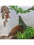 1 ADET-30CM Tarzı Adet Sürüngen Bitkiler 30 cm Sahte Yapraklar Habitat Dekorasyon Teraryum Rattan Geckos Kertenkele Sürüngen Habitat Dekor (Yurt Dışından) 3