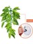 1 ADET-30CM Tarzı Adet Sürüngen Bitkiler 30 cm Sahte Yapraklar Habitat Dekorasyon Teraryum Rattan Geckos Kertenkele Sürüngen Habitat Dekor (Yurt Dışından) 5