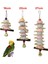 16CM Tarzı Kuşlar Papağan Çiğneme Oyuncağı Taşlama Ağız Azı Dişleri Taş Oyuncaklar Papağan Kafesi Asılı Mineral Dize Parakeet Sultan Papağanı Oyuncak (Yurt Dışından) 3