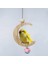 S Tarzı Pet Kuş Salıncak Oyuncaklar Ay Şekli Asılı Salıncak Papağan Parakeet Tünemiş Asılı Kafes Oyuncak Çan Cockatiels Amerika Papağanları Ispinozlar (Yurt Dışından) 2