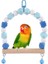 No.10 Stili Kuş Ahşap Salıncak Papağan Oyuncakları Papağan Çiğneme Asılı Levrek Çan Renkli Evcil Hayvan Kafesi Kuş Oyuncak Küçük Parakeet Lovebird Cockatiel (Yurt Dışından) 4