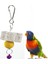 Yeşil Stil Papağan Ağız Taşlama Taş Kafes Oyuncak Molar Taş Parakeet Sultan Papağanı Oyuncak Mineral 4 cm Papağan Ağız Taşlama Taş (Yurt Dışından) 3