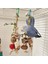 Fındık Stili Renkli Ahşap Asılı Kuş Çiğneme Oyuncakları Rattan Topu Ahşap Boncuk Kuşlar Kafes Aksesuarları Sıkıntıyı Gidermek Için Kuş Aksesuarları (Yurt Dışından) 3