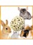 6 Adet Tarzı K6 Sola Atta Topu Doğal Çiğneme Oyuncakları Parçalama Gaga Pençe Papağan Parrotlet Budgie Finch Hamster Bunny Kuş Oyuncak Kuş Oyuncakları (Yurt Dışından) 2
