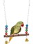 No.46 Tarzı Pipifren Papağanlar Oyuncaklar ve Kuş Aksesuarları Pet Oyuncak Salıncak Standı Muhabbet Kuşu Parakeet Kafesi Afrika Gri Vogel Speelgoed Parkiet (Yurt Dışından) 5