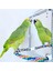 13X14X20CM Tarzı Papağan Oyuncak Akrilik Kuş Ayna Halatlı Tünek Kuş Oyuncakları Salıncak Rahat Levrek Parakeet Cockatiel Conure Muhabbet Kuşları Kanaryalar (Yurt Dışından) 2