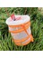 Turuncu Tarzı 15X15CM Dış Mekan Yaşları Için Böcek ve Kelebek Habitat Kafesi 3+ Uzun Şeffaf Mesh Muhafaza Katlanabilir Mantis Kelebek Habitat Kafesleri (Yurt Dışından) 4