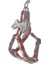Köpek Göğüs Tasma Seti Ekose Desenli Papyonlu 1.5 Cm*35-48 cm Kırmızı 2