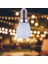 Mavi 3W E14 LED Buzdolabı Ampul Buzdolabı Mısır Ampulü Ac 220V LED Lamba Whitewarm Beyaz SMD2835 Halojen Işık Değiştirin (Yurt Dışından) 5