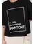 Kadın Pantone Baskılı T-Shirt 4