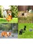 Evcil Hayvan Oyuncak Topları Peluş Çan Topları Köpek Oyuncak Topları Evcil Hayvan Malzemeleri (Yurt Dışından) 3