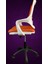 Neonx/white Yaren/çalışma Sandalyesi/ofis Sandalyesi/büro Sandalyesi/çalışma Odası/genç Odası/cocuk Odası 5