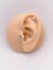 Cerrahi Çelik Piercing Kalpli Zirkon Taşlı Balık Kılçığı Figürlü Kıkırdak Helix Tragus PIERCING(1ADET) 1