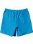 Everyday Solid Volley 15 AQYJV03153-9GF ERKEK Mavi Şort 2