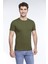 Erkek Günlük Pamuk Sıfır Yaka Kısa Kollu Renkli Tişört Olive Branch - 421 1