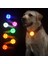 Mavi1 Tarzı Ipx7 Su Geçirmez LED Pet Köpek Kedi Yaka Kolye Gece Güvenlik Aydınlık Işık Yanıp Sönen Kolye Işık ile Köpek Cataccessories (Yurt Dışından) 3