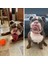 Pembe Tarzı Xl Boyutu Anti-Bite Çivili Çivili Pet Köpek Tasması Pu Deri Köpekler Için Spor Yastıklı Bulldog Pug Köpek Büyük Köpek Tasmaları Evcil Hayvan Malzemeleri (Yurt Dışından) 4