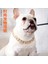 No.2 Tarzı Pet Kolye Dövüş Kolye Pet Moda Kolye Köpek Bully Altın Zincir Küçük ve Orta Ölçekli Köpek Yaka Köpek Takı Kolye (Yurt Dışından) 3