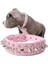 Siyah Stil S Beden Anti-Bite Çivili Çivili Pet Köpek Tasması Pu Deri Köpekler Için Spor Yastıklı Bulldog Pug Köpek Büyük Köpek Tasmaları Evcil Hayvan Malzemeleri (Yurt Dışından) 2