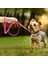 Gümüş Tarzı Xs Boyutu Bling Rhinestone Köpek Kedi Tasmaları Deri Pet Köpek Yavru Yaka Yürüyüş Tasma Kurşun Küçük Orta Köpekler Için Catuahua Pug Yorkie (Yurt Dışından) 5