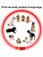Leopar Tarzı S Beden LED Işık Köpek Tasması Ayrılabilir Parlayan USB Şarj Aydınlık Tasma Büyük Kedi Yaka Küçük Parlak Labrador Evcil Köpekler Ürünleri (Yurt Dışından) 4