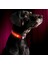 Pembe Tarzı L Boyutu LED Köpek Tasması USB Şarj Edilebilir Parlak ve Yüksek Görünürlük Işıklı Glow Yaka Evcil Hayvan Gece Yürüyüşü Için Ayarlanabilir Aydınlık Yaka (Yurt Dışından) 1