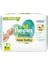 Pampers Harmonie Islak Havlu Mendil Aqua Pure Yeni Doğan-New Baby (12 Li Set) (552 Yaprak) 2