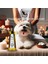 Stylish Kedi ve Köpekler Için Cilt Sıkılaştırıcı Masaj Yağı 200 ml 2