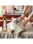 Stylish Kedi ve Köpekler Için Cilt Yenileyici Masaj Yağı 200 ml 2