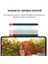 Novstrap Apple Pencil Usb-C ile Uyumlu Kılıf 4