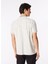 Çizgili Gri Erkek Polo T-Shirt Fc4Sm-Tst 0785 5
