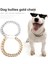 Altın Tarzı Güçlü Plastik Köpek Zinciri Tasmaları Pet Altın Büyük Pitbull Yaka Bulldog Yöntemi Mücadele Kolye Pet Giydirme Sahne Aksesuarları (Yurt Dışından) 2