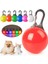Turuncu Tarzı LED Işıklı Köpek Kedi Yaka Kolye Parlayan Charm Işıklar Gece Yürüyüş Için Renkli Güvenlik Işığı Pet Yaka Malzemeleri Aksesuarları (Yurt Dışından) 2