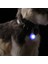 Turuncu Tarzı LED Işıklı Köpek Kedi Yaka Kolye Parlayan Charm Işıklar Gece Yürüyüş Için Renkli Güvenlik Işığı Pet Yaka Malzemeleri Aksesuarları (Yurt Dışından) 4