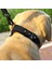 Siyah Stil M Boyutu Anti-Kayıp Deri Apple Airtag Pet Köpek Tasması Gps Pozisyon Takip Cihazı Kılıfı Labrador Büyük Köpekler Üst Katman Inek Derisi Airtag Aksesuarları (Yurt Dışından) 4