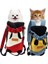 Bir Stil 4-5 kg ​​için L Kedi Köpekler Için Pet Sırt Çantası Taşıyıcı Ön Seyahat Köpek Çantası Yavru Yavru Omuzlar Için Taşıma Nefes Alabilir Taşınabilir Dört Ayaklı Çanta (Yurt Dışından) 3