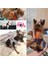 8-Mavi Tarzı L Boyutu Naylon Köpek Koşum Tasma Yansıtıcı Evcil Hayvan Koşumu Yelek Nefes Ayarlanabilir Yaka Chihuahua Küçük Büyük Köpekler Kedi (Yurt Dışından) 3