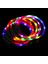 Kırmızı Stil LED USB Köpek Tasması Gece Aydınlık Şarj Kolye Köpek Kaybını Önleme Gece Güvenlik Yanıp Sönen Kızdırma Yaka Evcil Hayvan Aksesuarları (Yurt Dışından) 2